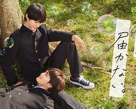 企业都有SEO专员吗